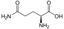 glutammina glutammina
