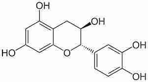 catechine