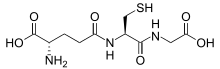 glutatione