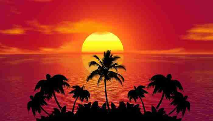 vitamina D e1642864718910