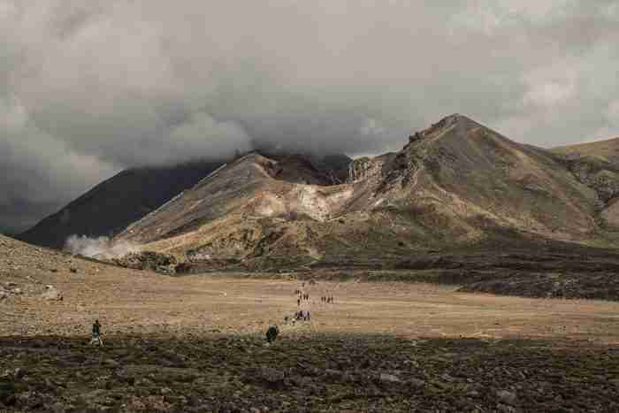 Alarsite e1644837015813