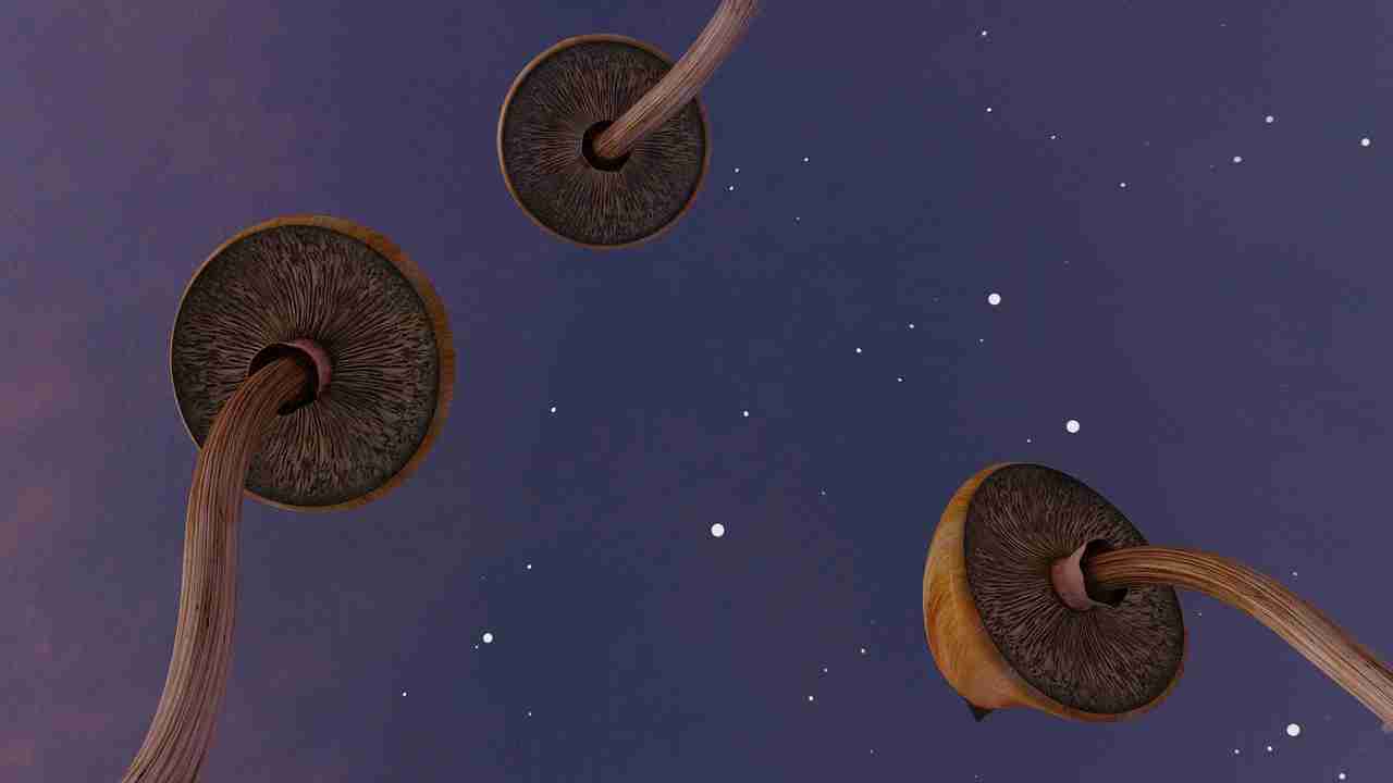 psilocibina