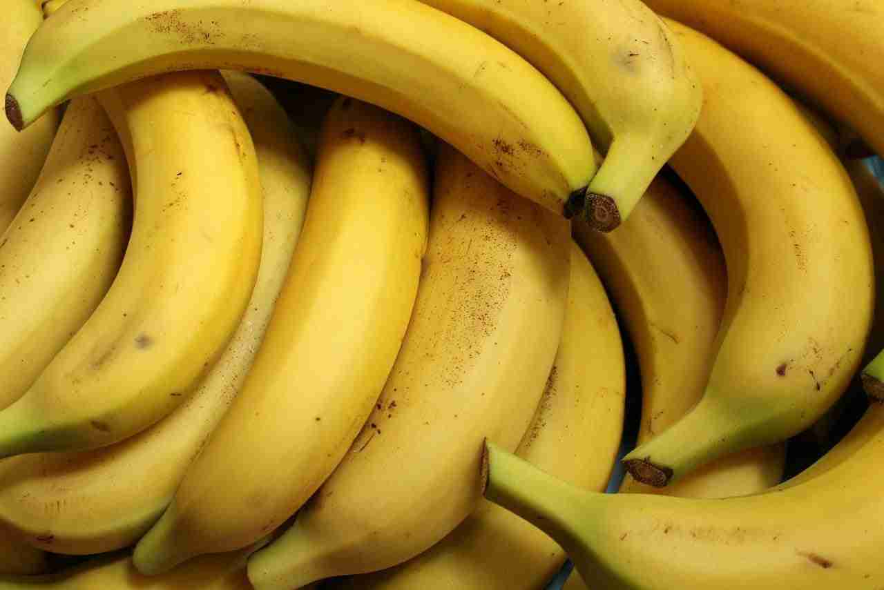 Potassio ruolo biologico