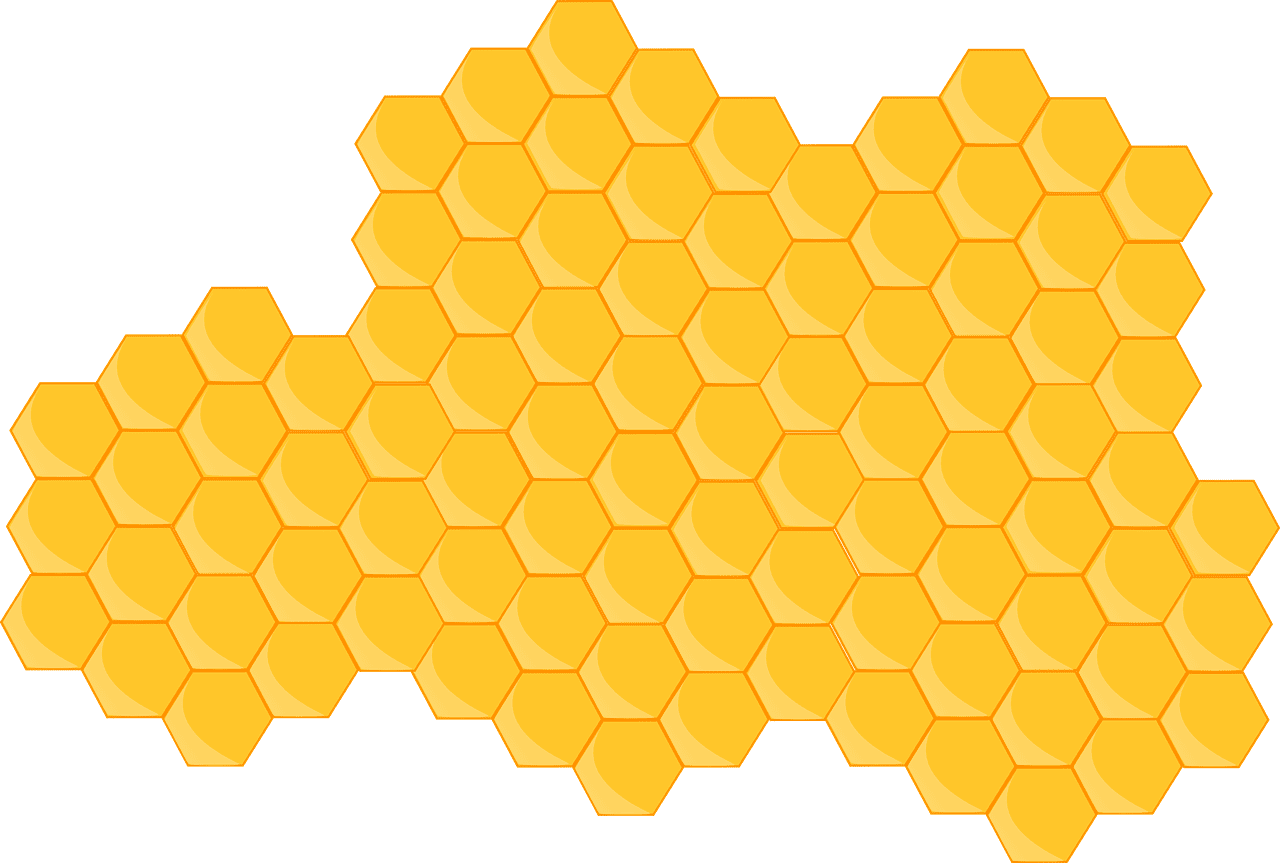Deidrogenasi 1