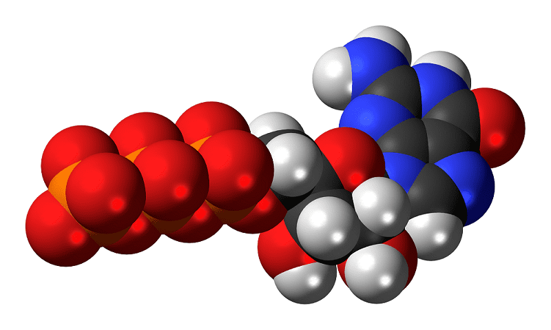 Guanosintrifosfato 1