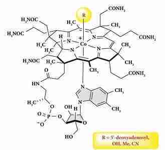 Vitamina B12 Vitamina B12