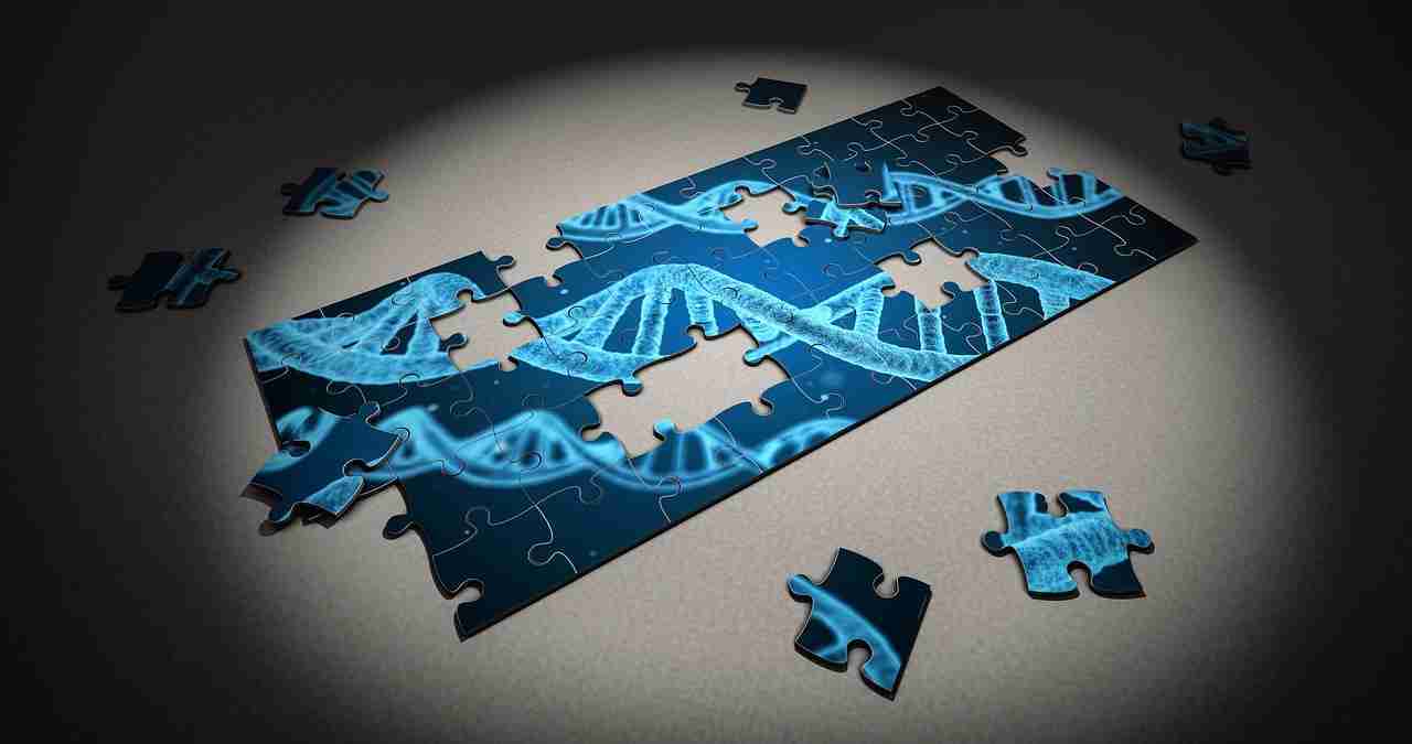 metalloenzimi