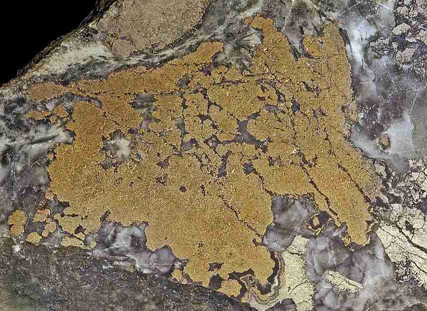 niccolite 1