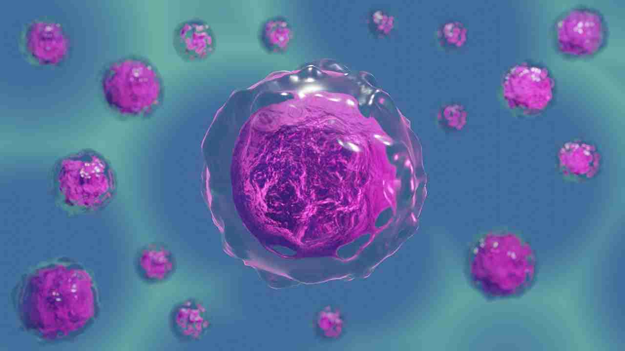 tetraidrofolato 1
