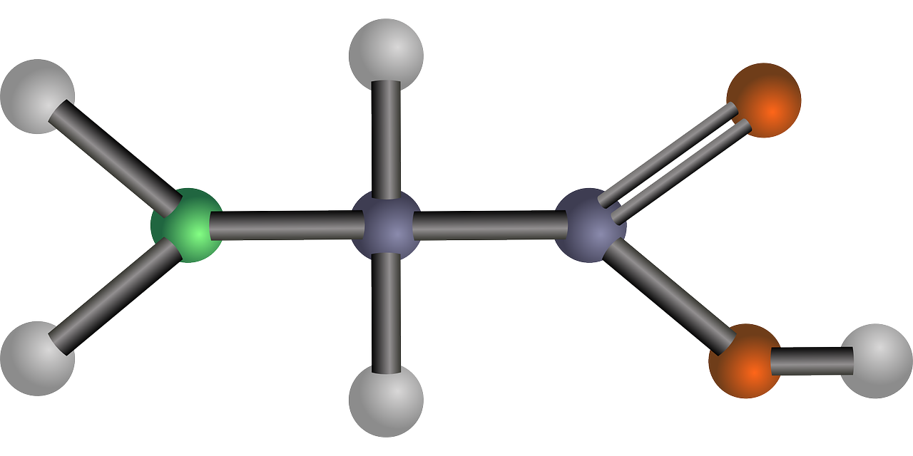 Metabolismo dellammoniaca