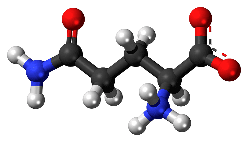 amminoacidi non proteinogenici
