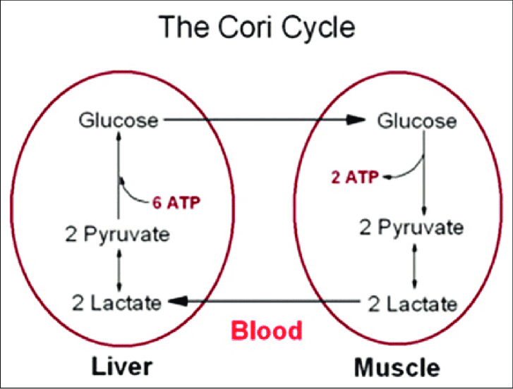 diagramma diagramma