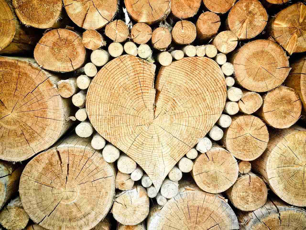 Polimeri naturali