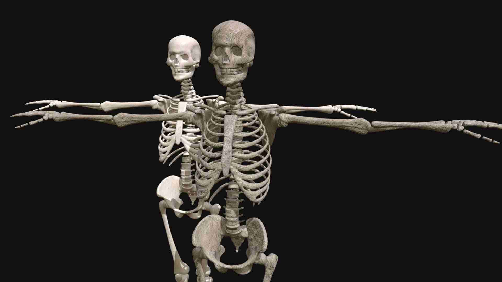 Isomeri nucleari