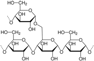 glucani