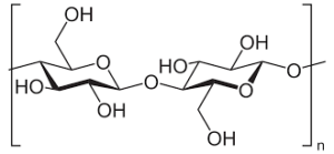 glucani