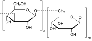 glucani
