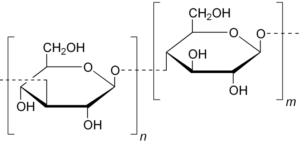 glucani