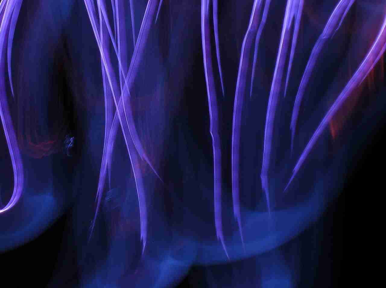Punti quantici o quantum dots