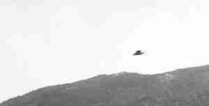 avvistamenti di UFO