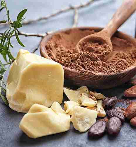 composizione del burro di cacao composizione del burro di cacao