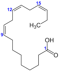 struttura acido linolenico