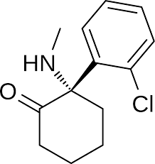 struttura struttura