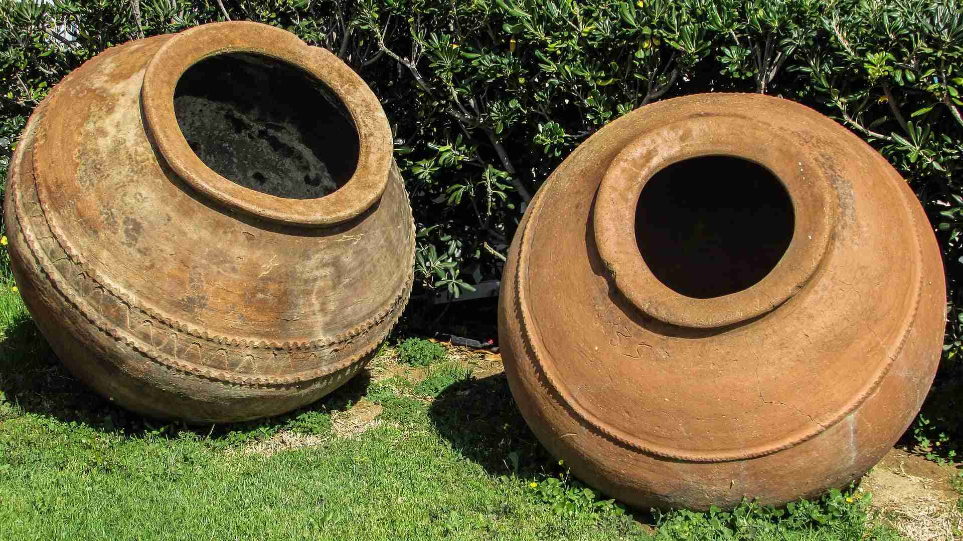 acidi solidi