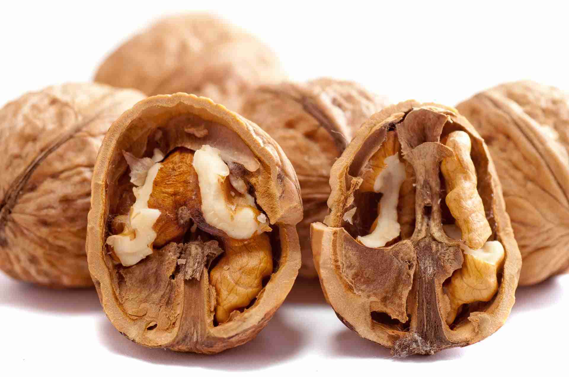 Vitamina F