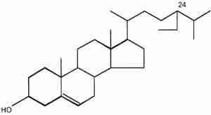 beta-sitosterolo
