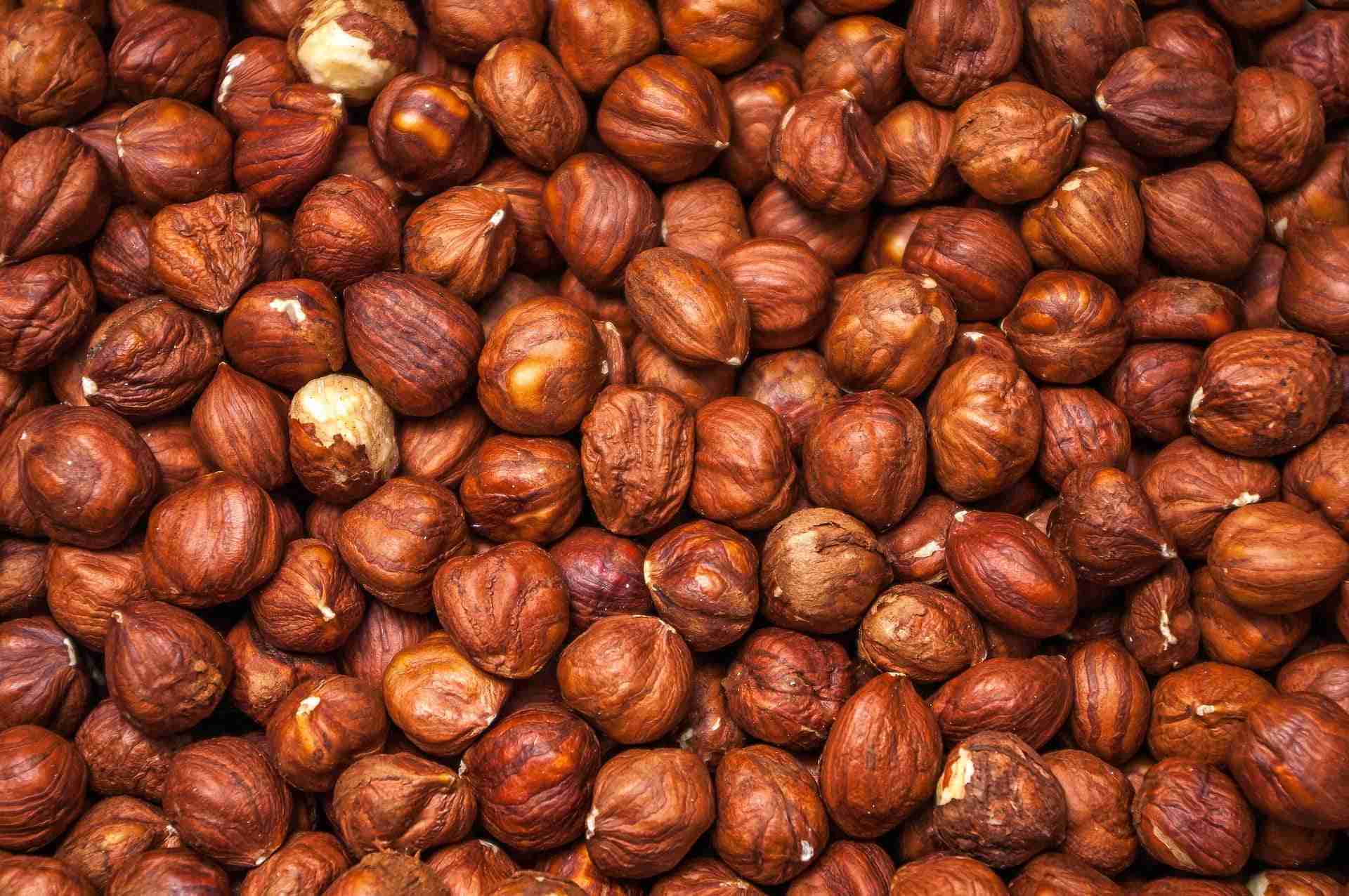 Olio di nocciole