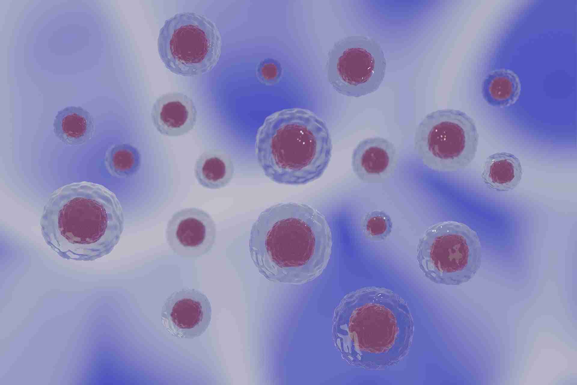 biomateriali