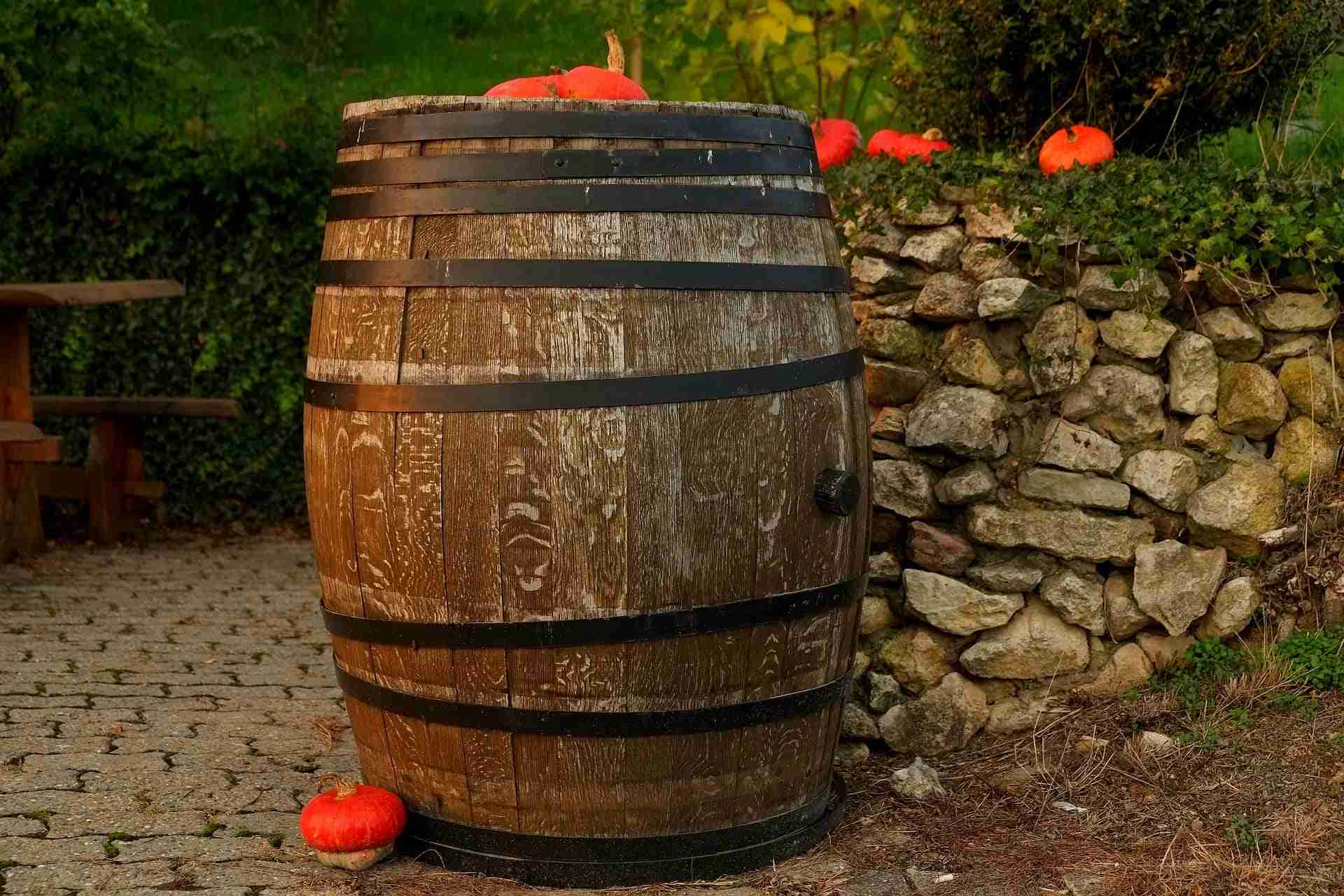 fermentazione malolattica