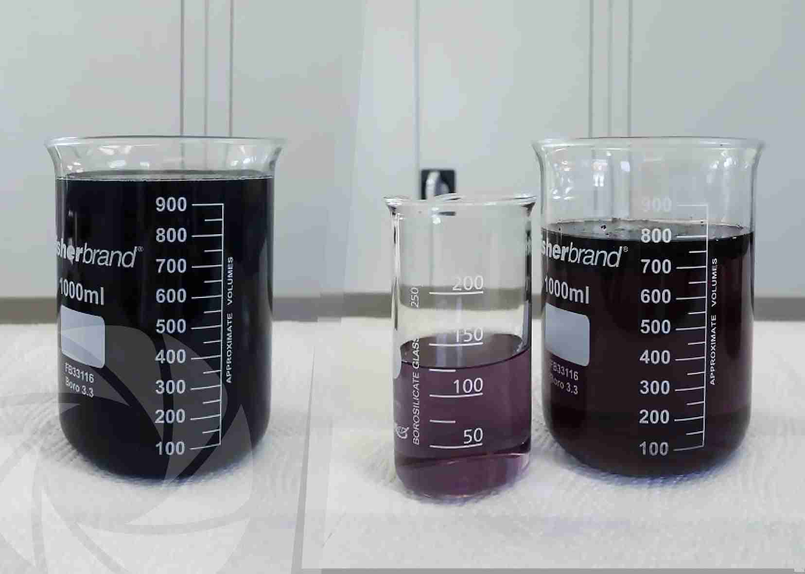 poliacrilammide 2