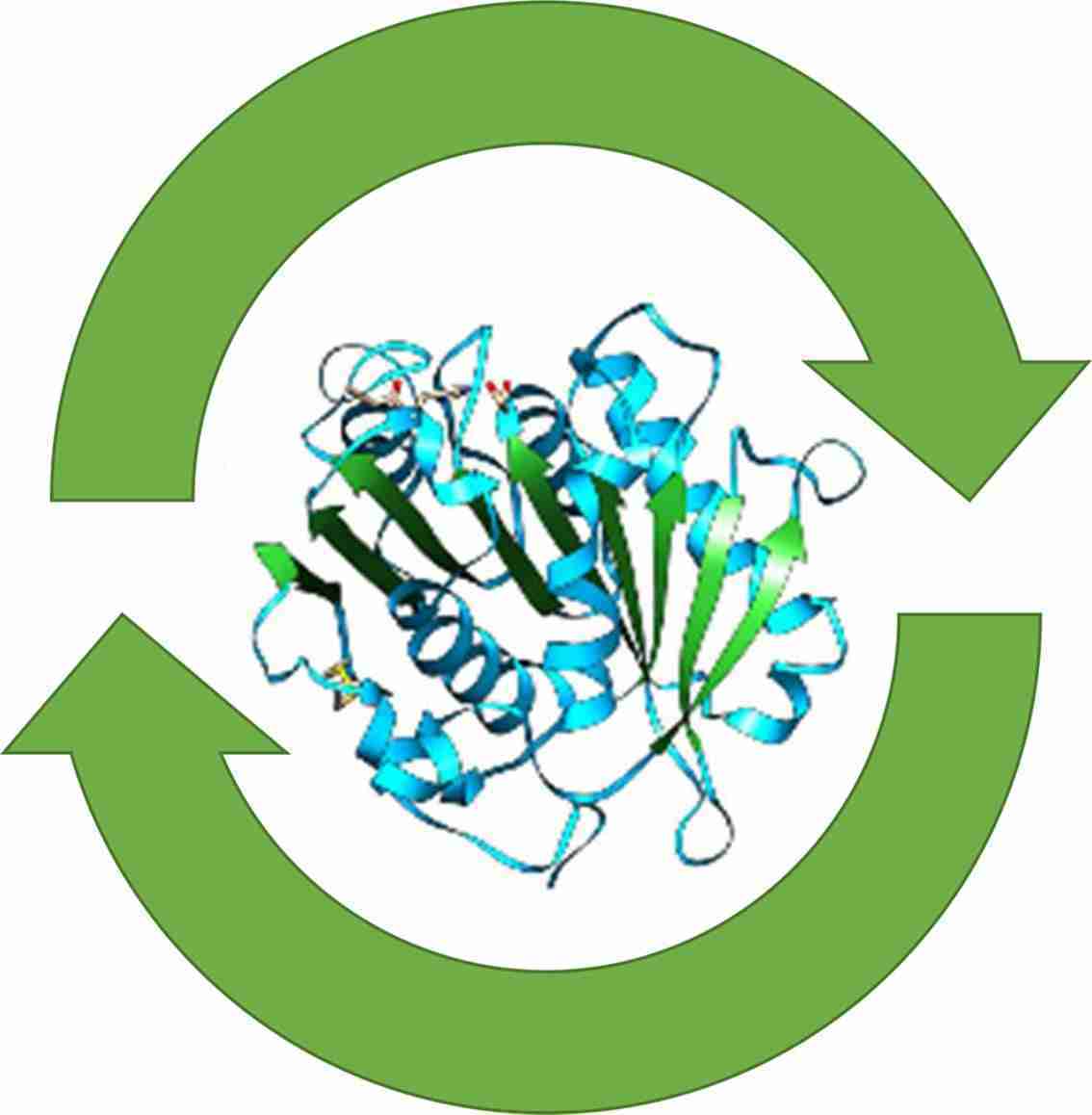 biocatalisi