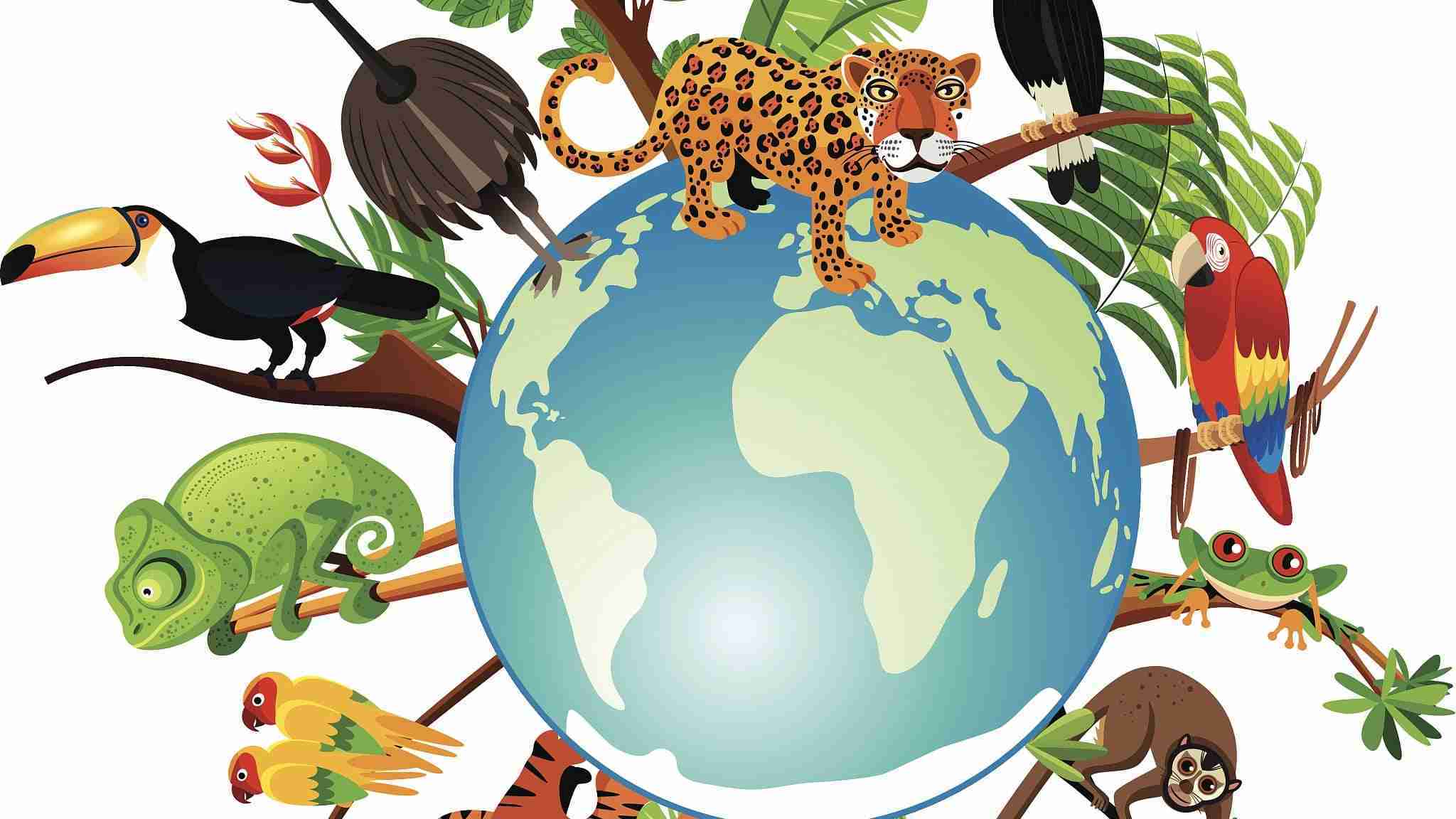 biodiversity 1