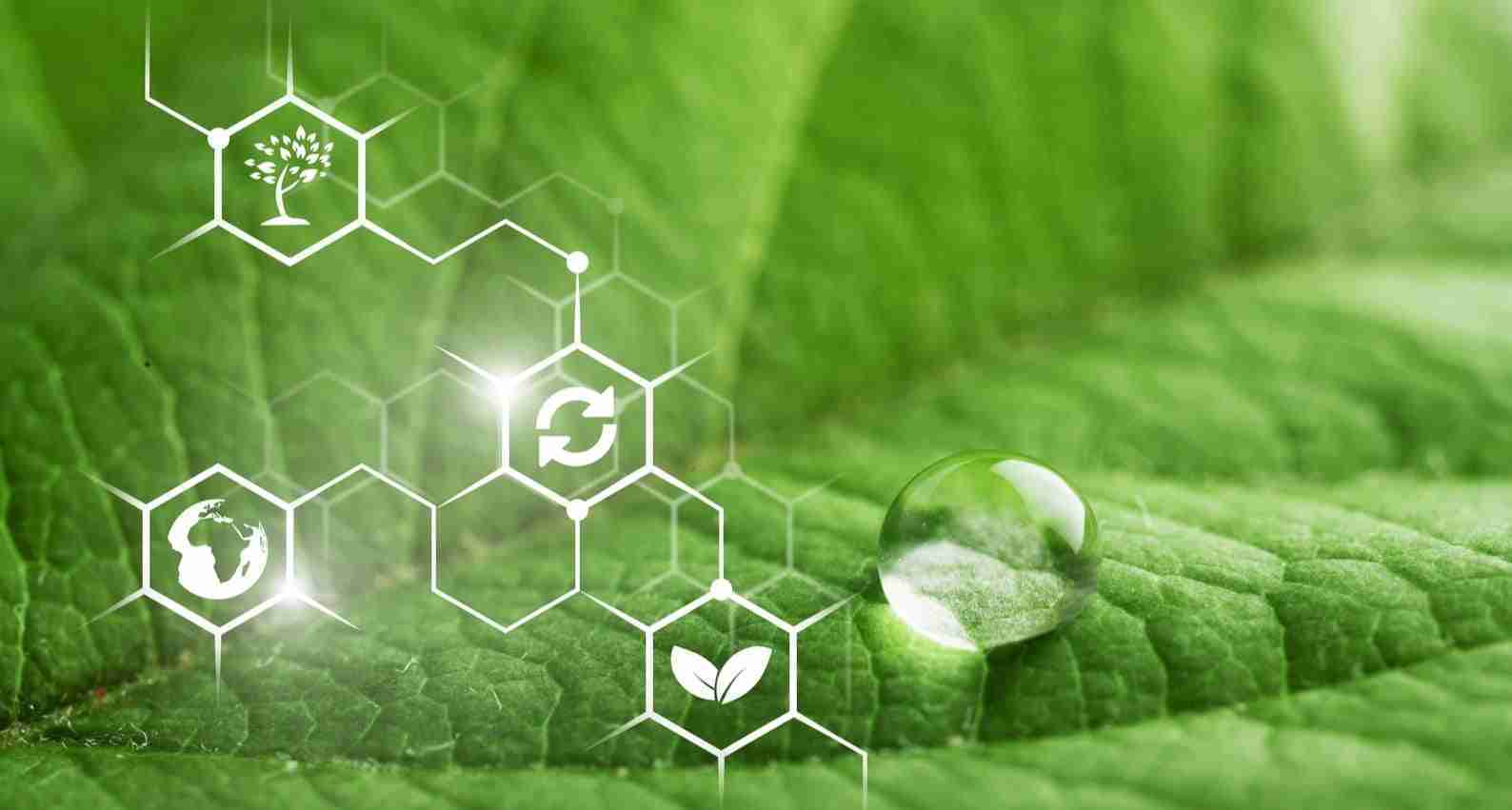 greenchemistryban 1