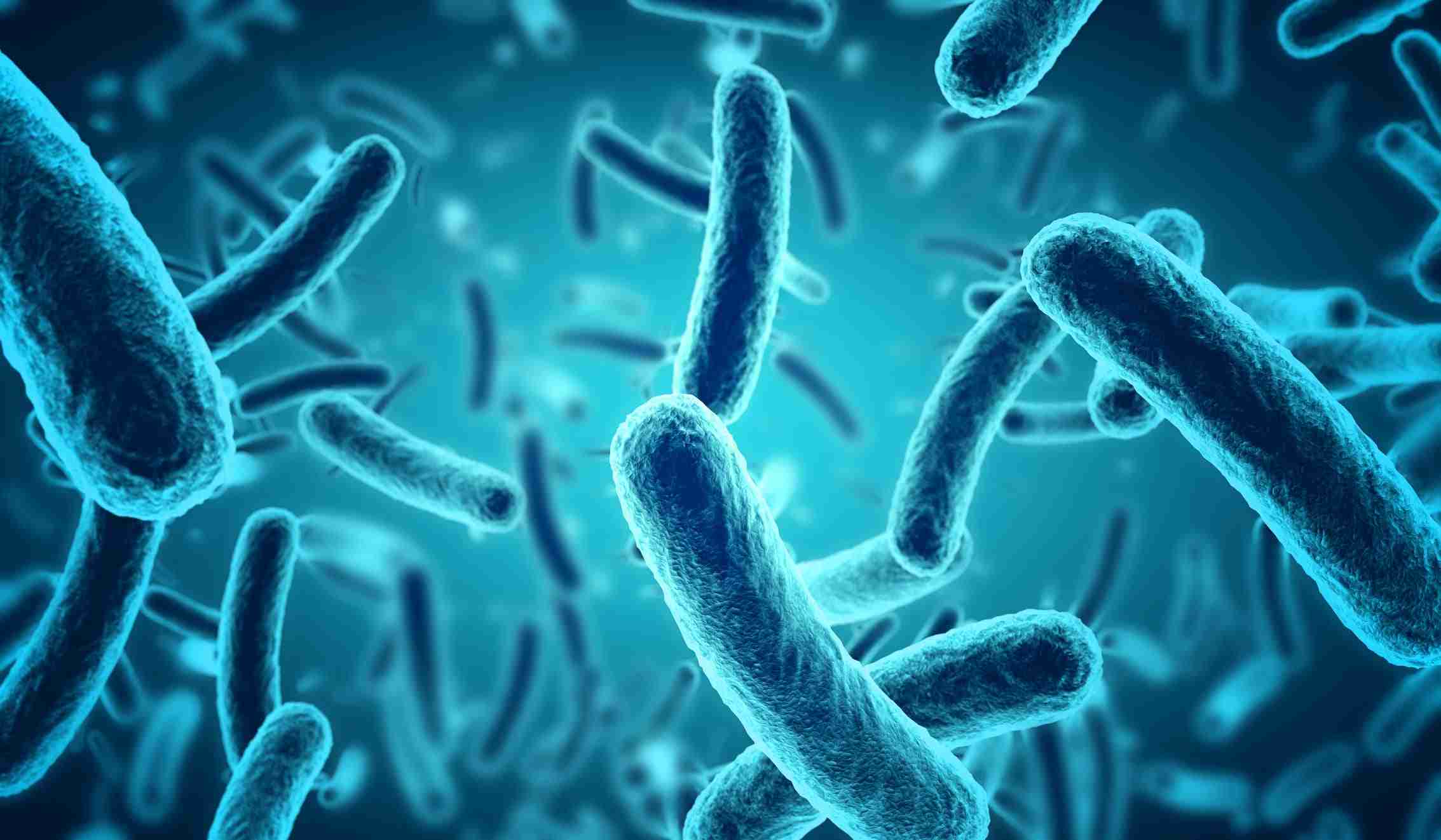 probiotici