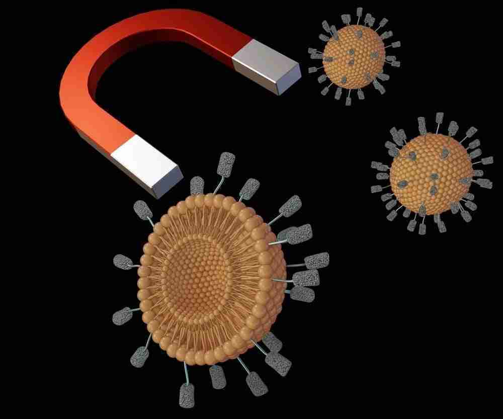 nanoparticelle magnetiche