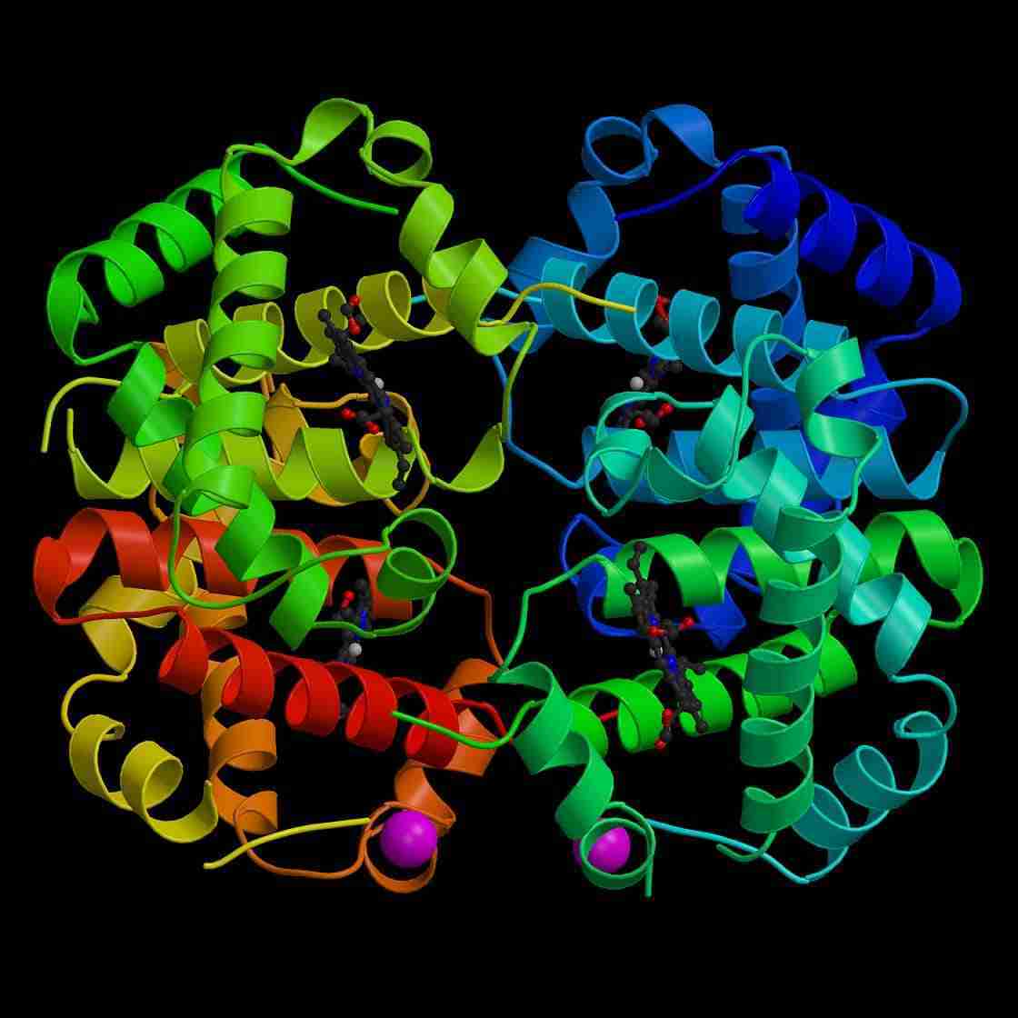 proteine globulari