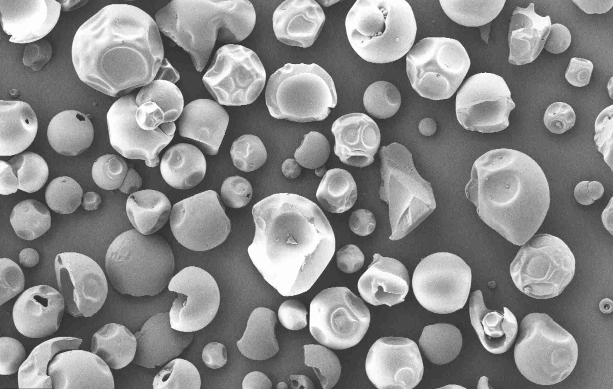 Microscopia elettronica a scansione
