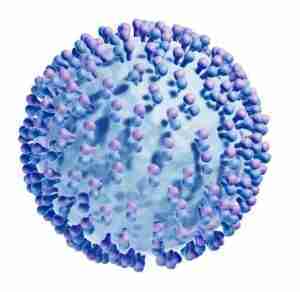 virus epatite C virus epatite C