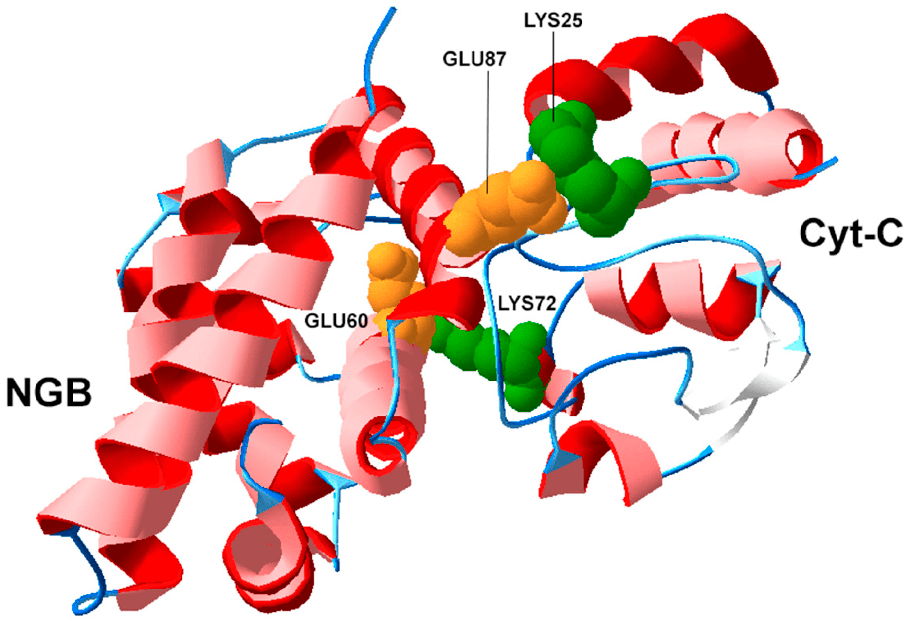 emoproteine