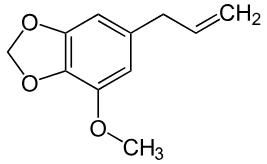 struttura struttura