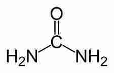 urea urea