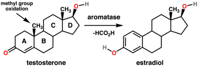 aromatasi aromatasi