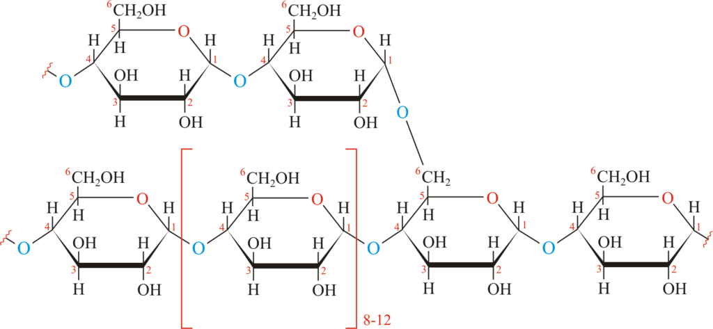 glicogeno glicogeno