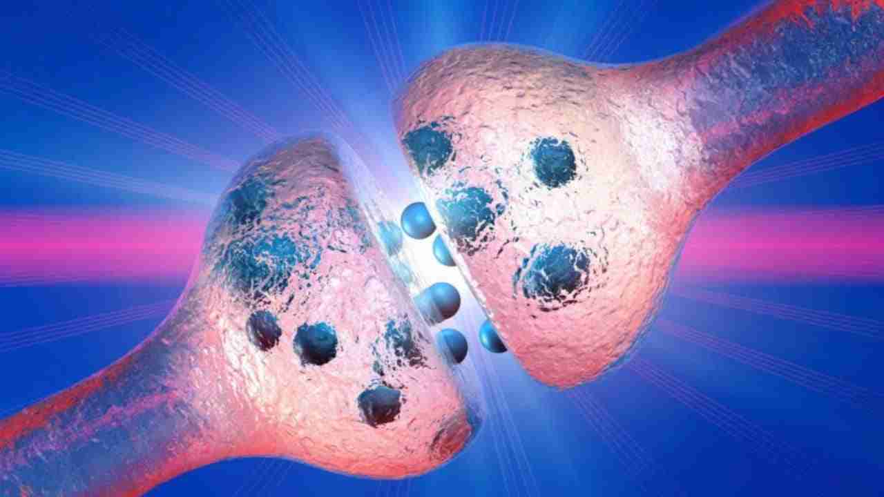 prostaglandine