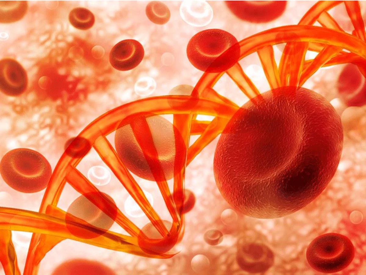 isoforme proteiche