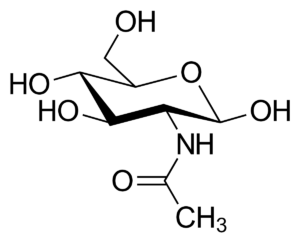 struttura struttura